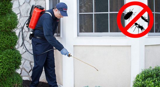 Güdül Hamam Böceği İlaçlama böcek ilaçlama ve haşere kontrolü — ilaclama-tr.com